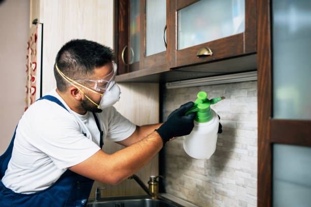 Best Pest Removal Services  in Newcastle, WY