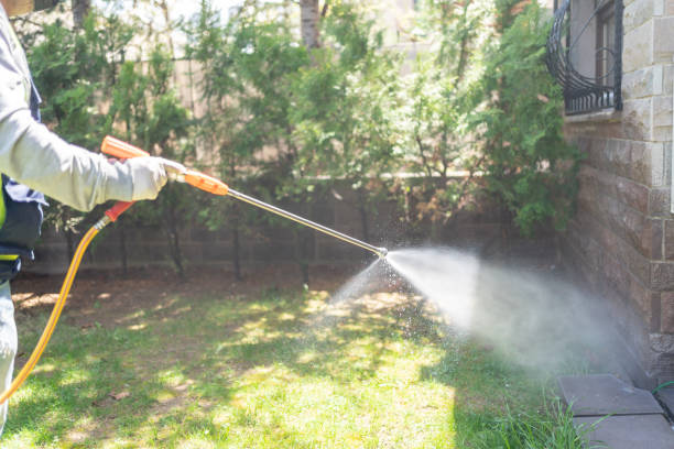 Best Best Pest Control Companies  in Newcastle, WY