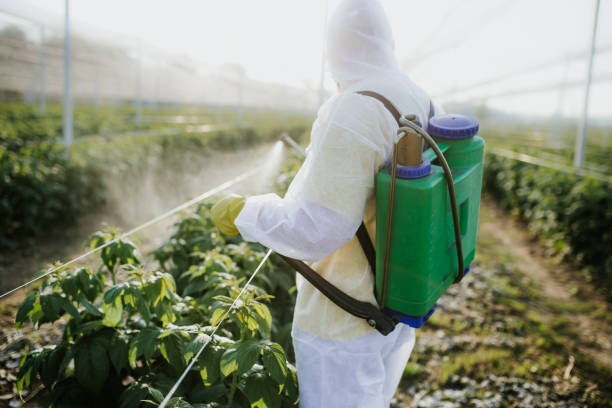 Best Termite Control Services  in Newcastle, WY